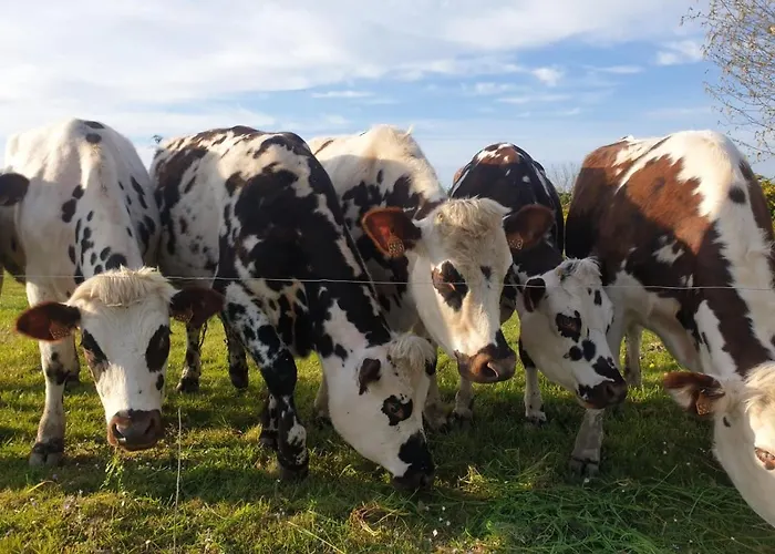 Les Gages Σπίτι διακοπών